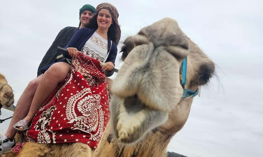 From Agadir: Camel Ride and Flamingo Trek - At a glance
