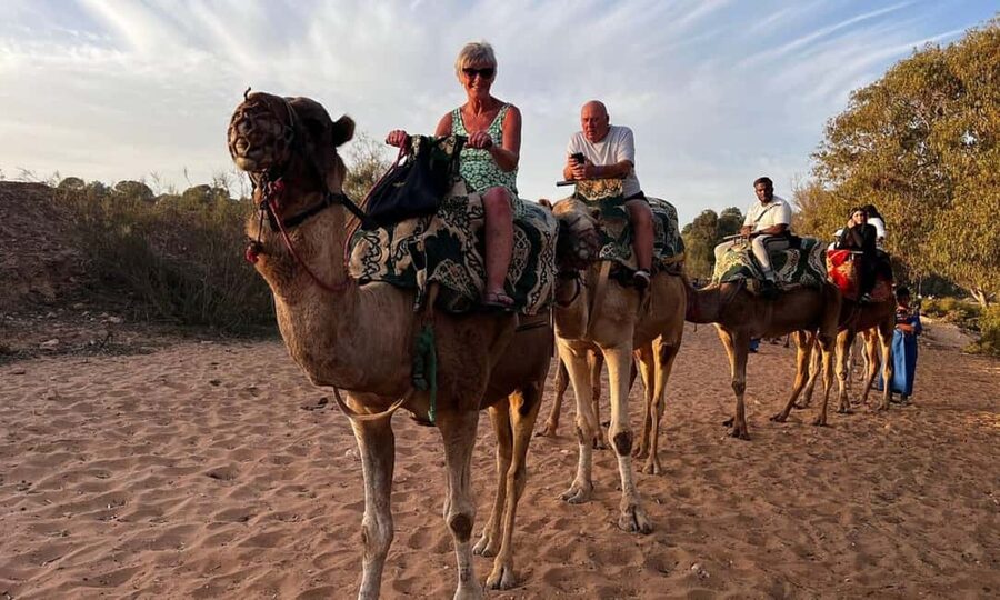 From Agadir: Camel Ride and Flamingo Trek - What the $19 camel ride is really like