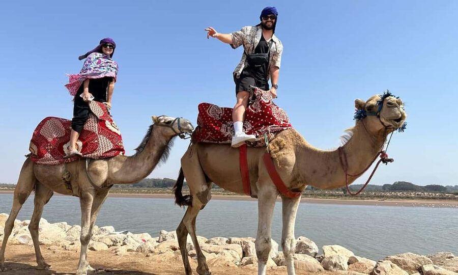From Agadir: Camel Ride and Flamingo Trek - Through the forest and toward the Souss River