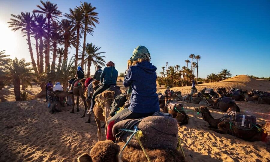 From Agadir: Camel Ride and Flamingo Trek - The guide makes the difference