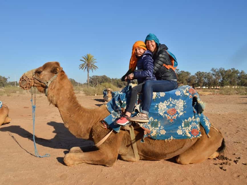 From Agadir: Camel Ride and Flamingo Trek - Pickup from your Agadir hotel