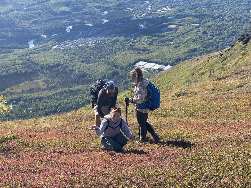 From Anchorage: Chugach State Park Guided Alpine Trek - From Anchorage streets to open Chugach ridges