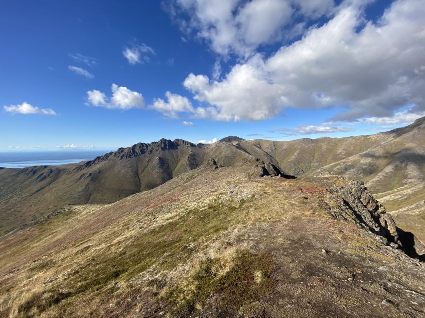 From Anchorage: Chugach State Park Guided Alpine Trek - Wildlife watching without false promises