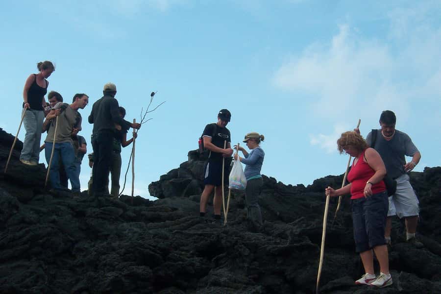 From Antigua: Pacaya Volcano Trek - Steam, Lava, and the Marshmallow Moment