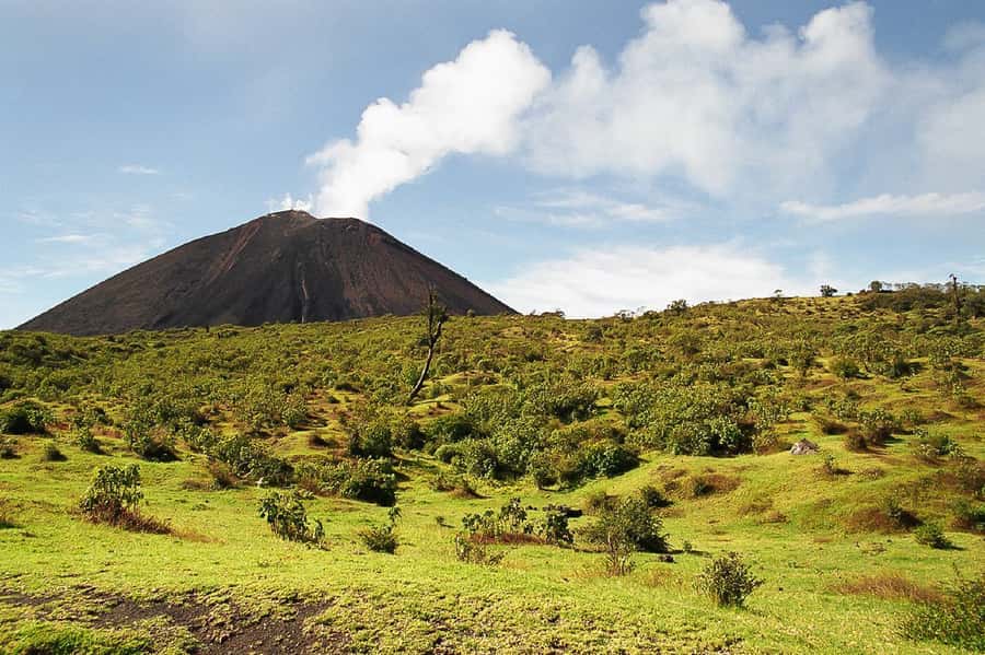 From Antigua: Pacaya Volcano Trek - Guides, Group Pace, and Language