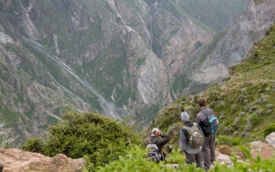 2-Day Colca Canyon Trekking Tour