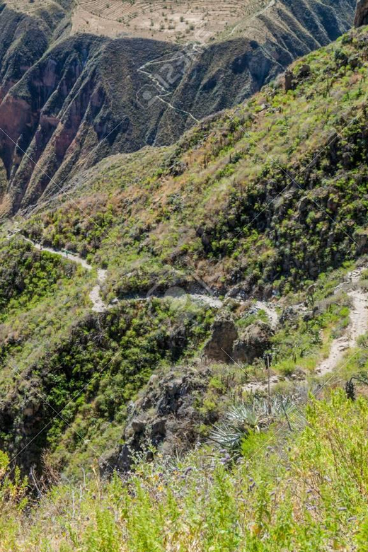 From Arequipa: 2-Day Colca Canyon Trekking Tour - The 4:30 a.m. climb out of the canyon