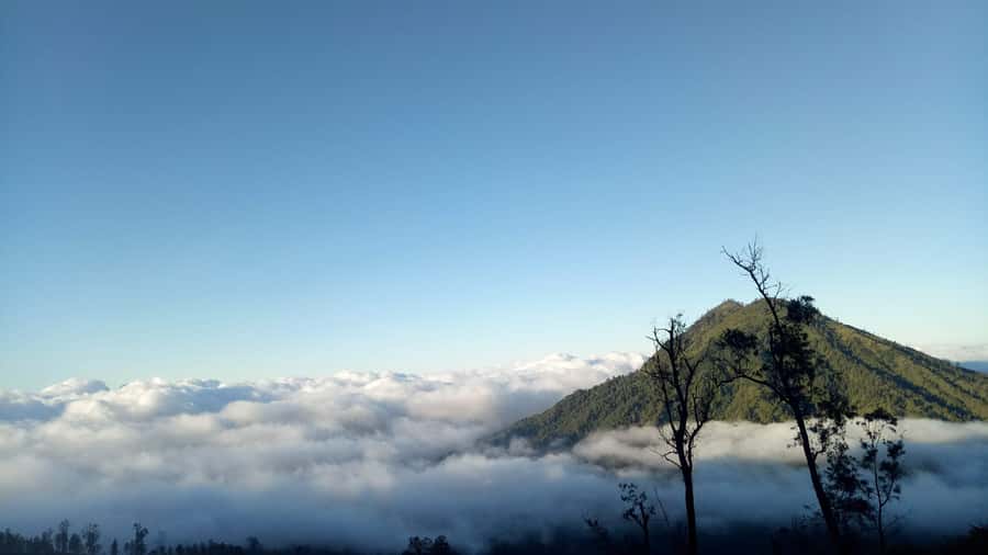 From Bali : The Majestic Mount Ijen Sunrise Trekking - Descending Toward the Blue Flames