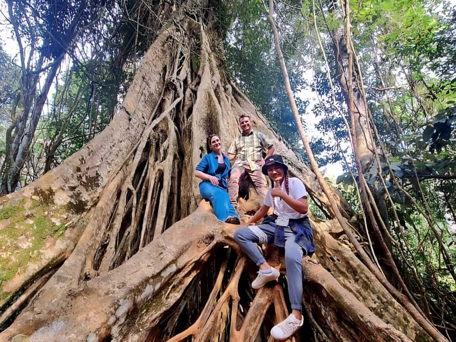 From Bangkok: Khao Yai National Park Jungle Trek with Lunch - Is $181 good value?