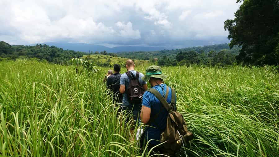 From Bangkok: Khao Yai National Park Jungle Trek with Lunch - Why Khao Yai works as a day trip from Bangkok