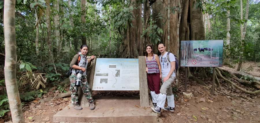 From Bangkok: Khao Yai National Park Jungle Trek with Lunch - Sai Sorn Reservoir and Haew Suwat Waterfall