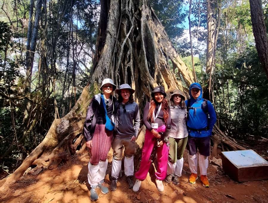From Bangkok: Khao Yai National Park Jungle Trek with Lunch - The three-hour ride to the park