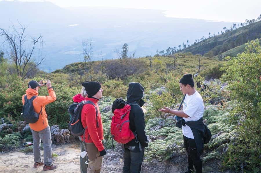 From Banyuwangi: Day Trip to Ijen Volcano with Guided Trek - What you see from the crater rim