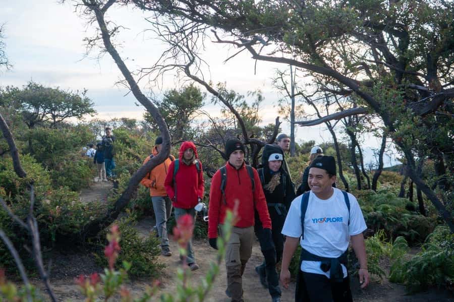 From Banyuwangi: Day Trip to Ijen Volcano with Guided Trek - Transport, timing, and the $43 value