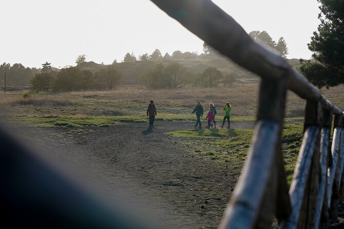 From Catania: Private mt. Etna trekking and pic-nic - Why walking Etna gives you more than a summit view