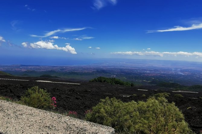 From Catania: Private mt. Etna trekking and pic-nic - A picnic with time to stop and look around