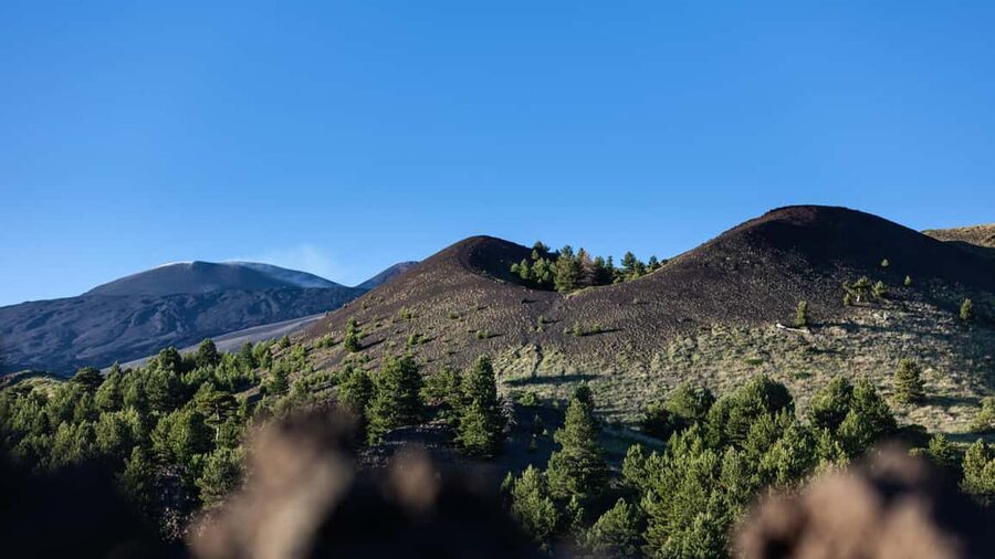 From Catania: trek on Mount Etna, Lava Cave & tasting Tour - Inside Grotta Lunga with helmet and lamp