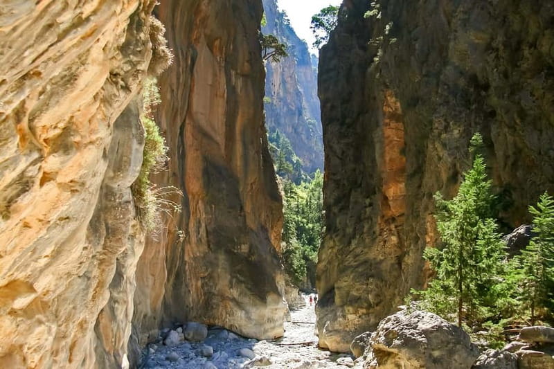 From Chania: Full-Day Samaria Gorge Trek Excursion & Guide - Forest, Springs, Goats, and Narrow Stone Walls