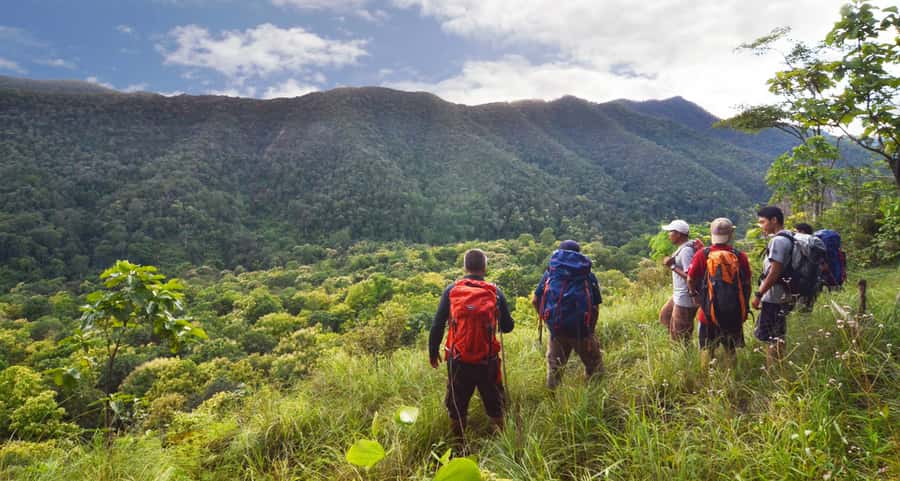 From Chiang Mai: High Mountain Day Trek - Four-plus hours among forest plants and mountain trails