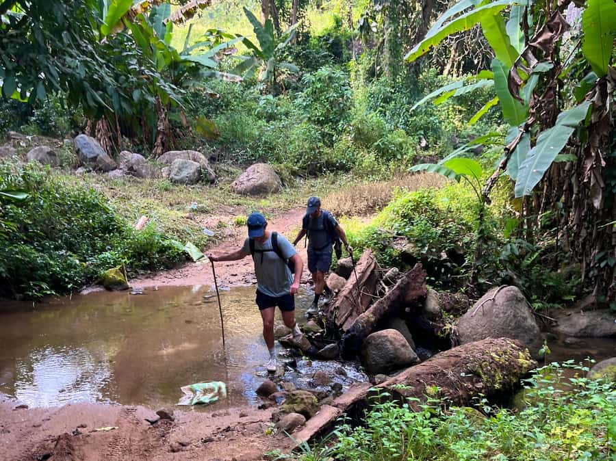 From Chiang Mai: High Mountain Day Trek - Walking through a hill village