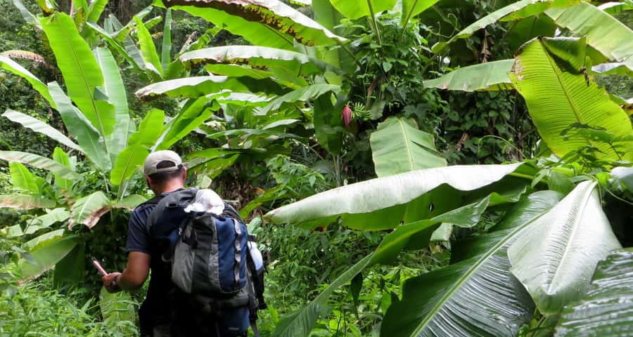 From Chiang Mai: High Mountain Day Trek - What makes the guide important