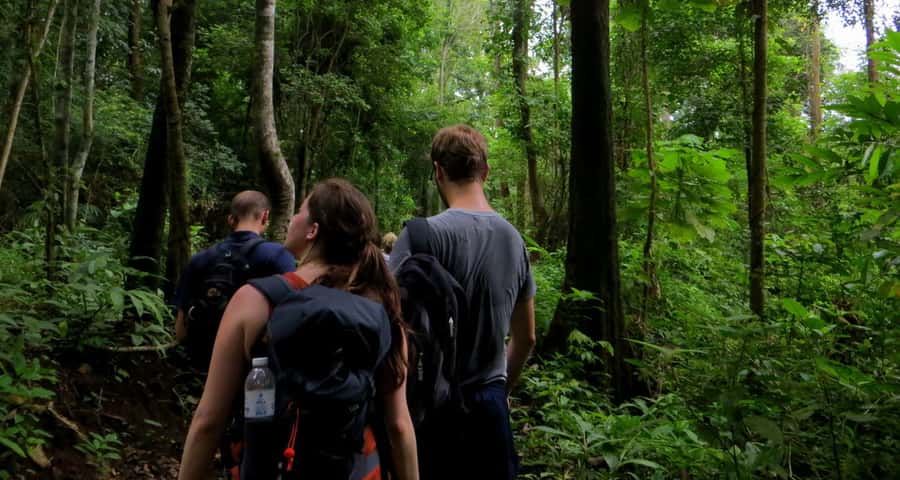 From Chiang Mai: High Mountain Day Trek - Should you book it?