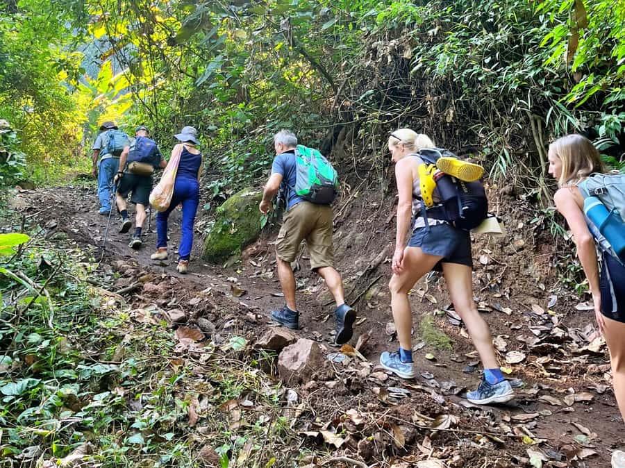 From Chiang Mai: High Mountain Day Trek - Lunch with mountain views and local flavors
