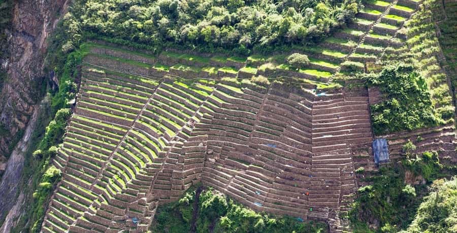 From Cusco: 4-Day Choquequirao Trek - All included - Key points to know before booking