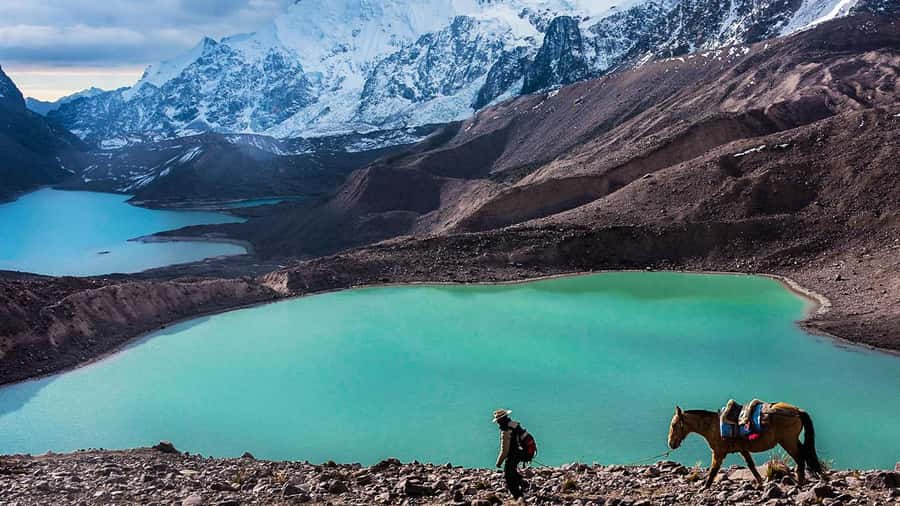 From Cusco: Salkantay trek 5 days/4 nights meals included - Key points to know before you book