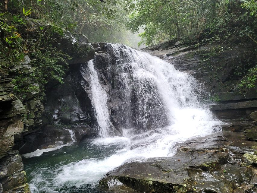 From Da Nang or Hoi An: Bach Ma National Park Trek & Lunch - Why Bach Ma makes a strong day trip