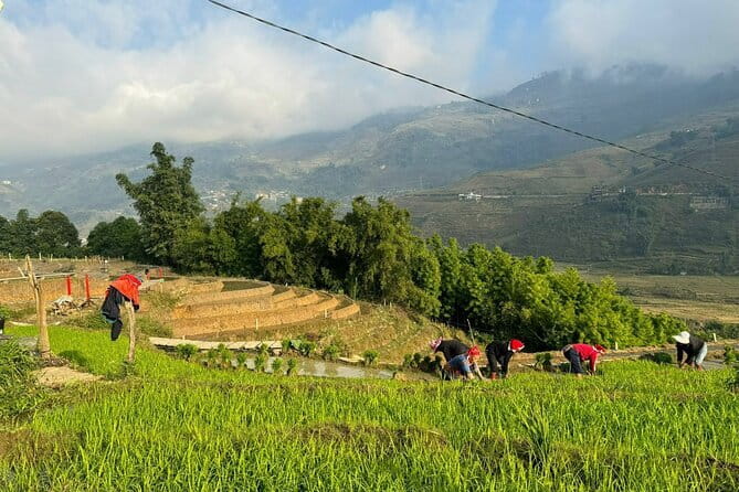From Hà Nội ; Mu Cang Chai 3 Days 2 Nights By Car and Trekking - Day two: a serious 12 km walk through La Pan Tan