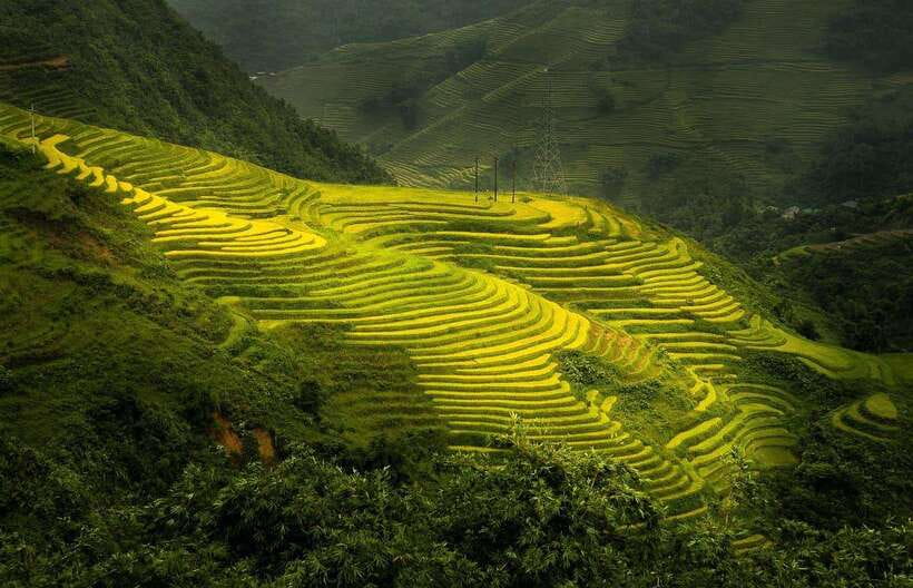 From Hanoi: 1-day Sapa Trekking Tour With Overnight Bus - Morning in Sapa, breakfast before the trail