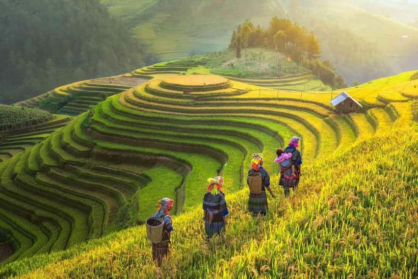 From Hanoi: 2-Day Luxury Sapa Trekking Tour with Homestay - What this Sapa trip is really like