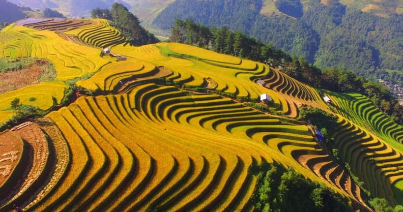 From Hanoi: 2-Day Luxury Sapa Trekking Tour with Homestay - How hard is the 15-kilometer hike?