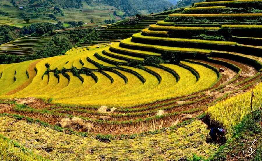 From Hanoi: 2-Day Sapa-Fansipan Peak & Trek & Ha Giang Bus - Hotel, meals, and what the price really covers