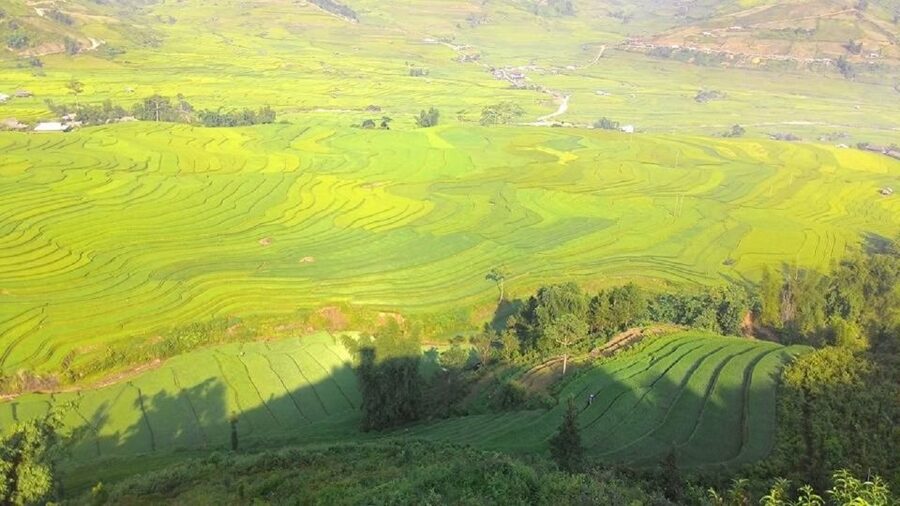 From Hanoi: 2 Day Sapa Trekking To Village & Bungalow, Meals - Key points to know before booking