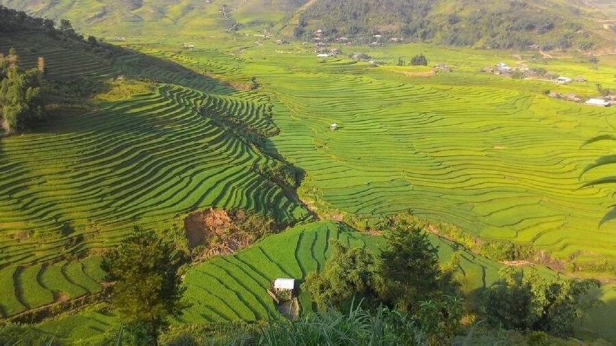 From Hanoi: 2 Day Sapa Trekking To Village & Bungalow, Meals - Why this Sapa trip works better than a quick day visit