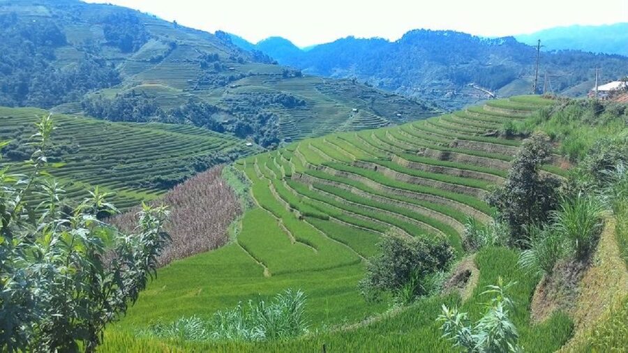 From Hanoi: 2 Day Sapa Trekking To Village & Bungalow, Meals - Lao Chai and the Black Hmong villages
