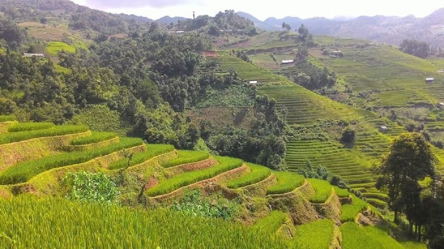 From Hanoi: 2 Day Sapa Trekking To Village & Bungalow, Meals - Giang Ta Chai and the Red Dzao