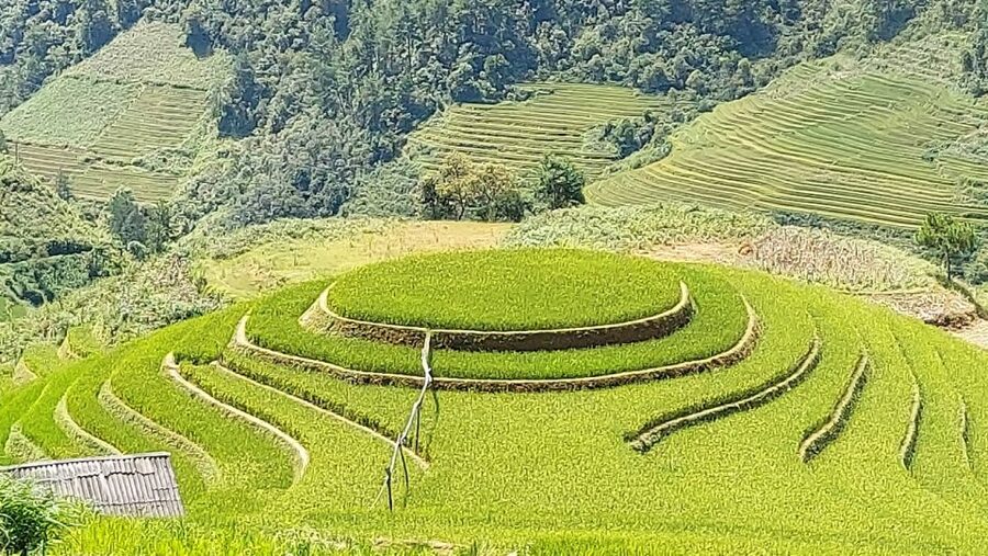 From Hanoi: 2 Day Sapa Trekking To Village & Bungalow, Meals - Lunch, a short Sapa break, and the ride home