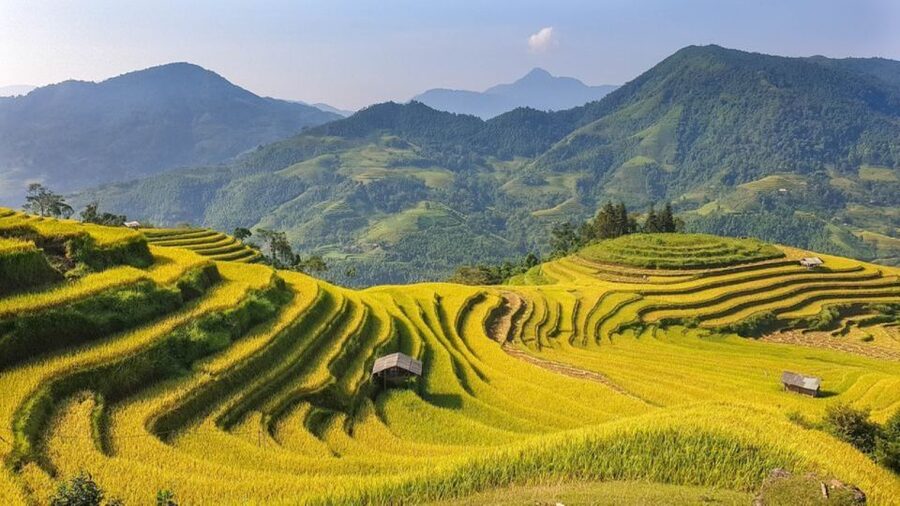From Hanoi: 2 Day Sapa Trekking To Village & Bungalow, Meals - Meals, water, and what the $87 really covers