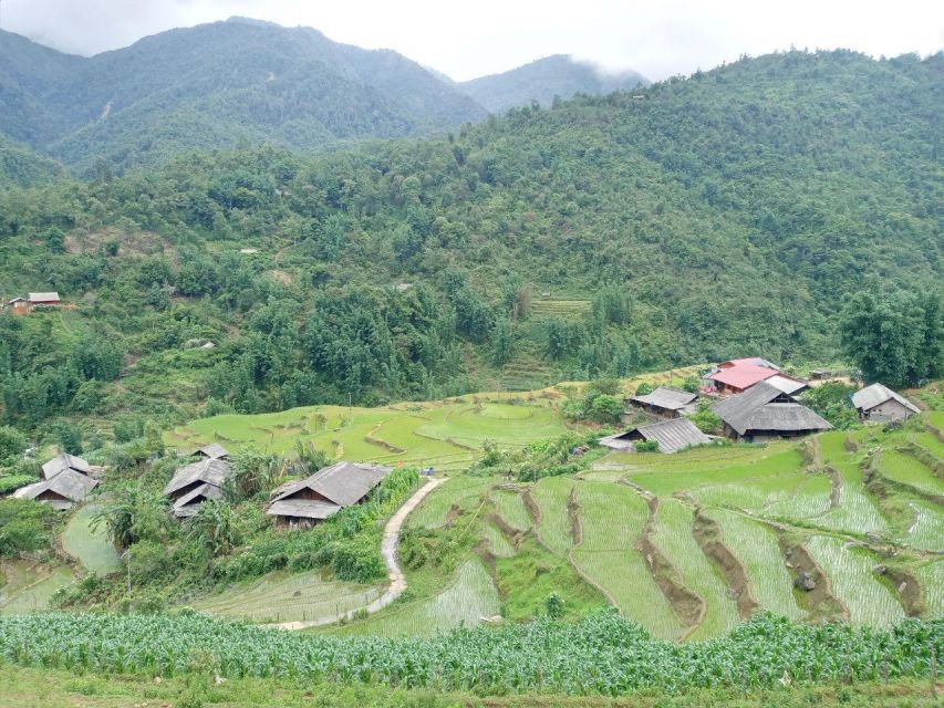 From Hanoi: 2-Day Sapa Trekking Trip with Homestay & Meals - Should you book the Sapa homestay trek?