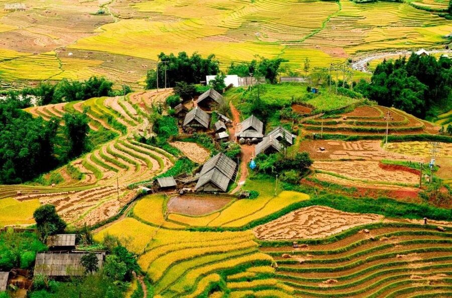 From Hanoi: 2-Day Sapa Trekking Trip with Homestay & Meals - Why this Sapa trip works so well from Hanoi