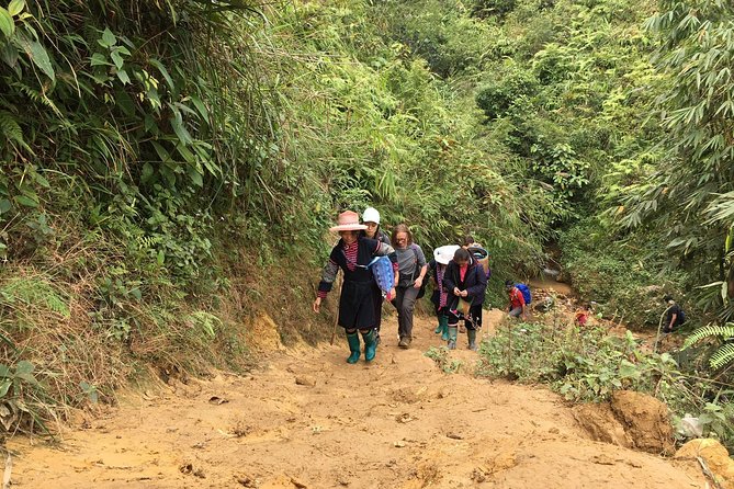 From Hanoi: 2 Days Luxury Sapa Trek & Fansipan Peak with Dcar - What the $110 price really covers