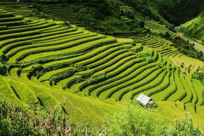From Hanoi: 2-Days Sapa Trek Lao Chai/Cat Cat, Fansipan Peak - Key points to know before booking