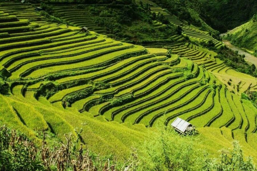From Hanoi: 2-Days Sapa Trekking Tour Lao Chai and Cat Cat - Lao Chai through the Muong Hoa Valley