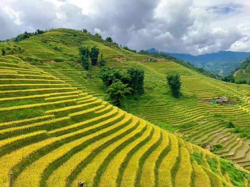 From Hanoi: 2-Days Sapa Trekking Tour Lao Chai and Cat Cat - Ta Van and the Dzay village route