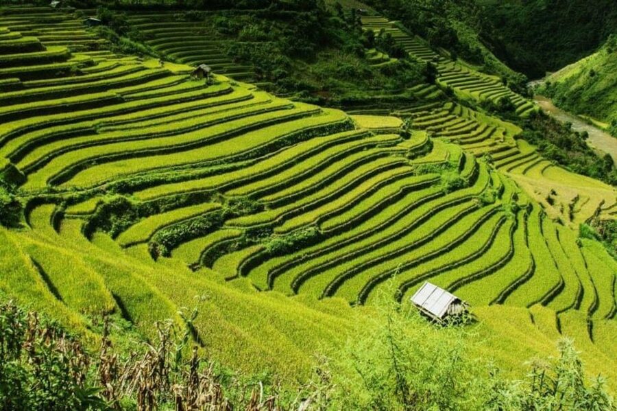 From Hanoi: 2-Days Sapa Trekking Tour Lao Chai and Cat Cat - Your night in Sapa: hotel or homestay