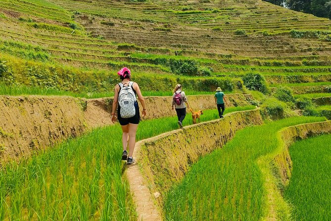 From Hanoi: 2D1N Mu Cang Chai Private Trekking & Homestay - Why Mu Cang Chai Works as a Two-Day Escape