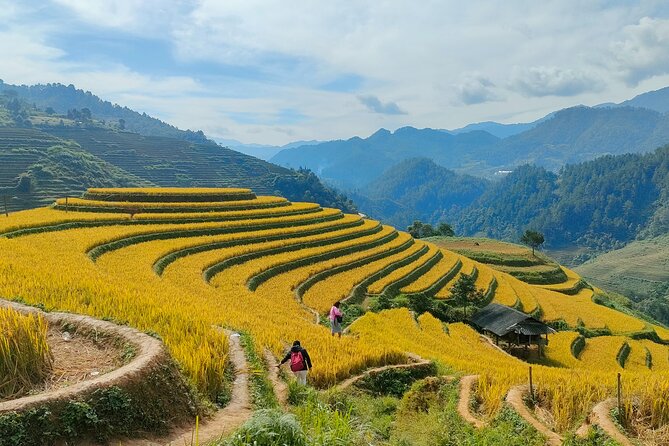 From Hanoi: 2D1N Mu Cang Chai Private Trekking & Homestay - Forest Paths, Waterfalls, and H’mong Culture